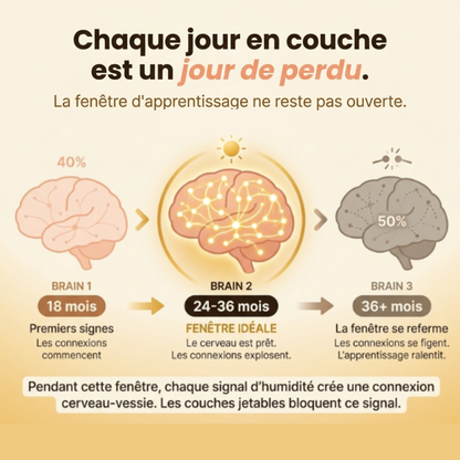 Culotte d'apprentissage