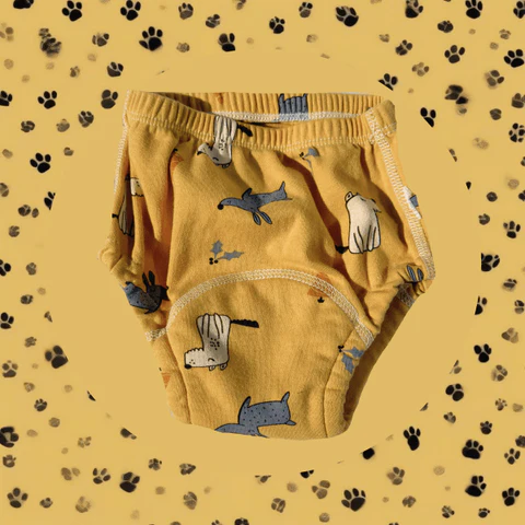 Culotte d'apprentissage